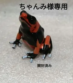 ちゃんみ様 リクエスト 2点 まとめ商品