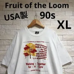 FRUIT OF THE LOOM Tシャツ