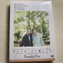 【新品未開封】ビューティフル・ボーイ【DVD】