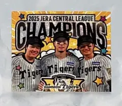 おむらいす様　専用ページ