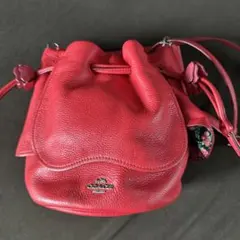 巾着 ショルダーバッグ