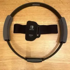 Nintendo Switch リングフィット　リングコン&レッグバンドのみ