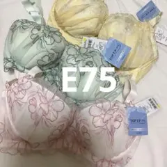 チュチュアンナ　E75 ブラジャー