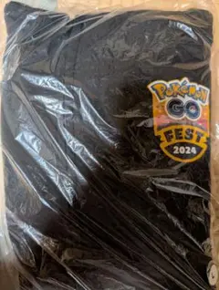 ポケモンGo Fest 2026 東京 パーカー フーディ XLサイズ 新品 - メルカリ