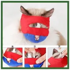 Item thumbnail for item eb804309-dfd4-4fc1-bf76-643caf197ce0