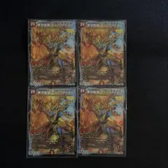 2026年最新】モルトドリーム 4枚の人気アイテム - メルカリ