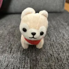 タグなし　未使用　豆柴　犬のぬいぐるみ 赤いバンダナ付き