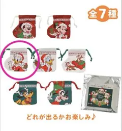 ディズニー クリスマス　シークレット巾着　ディズニーストア　デイジー