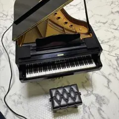 2025年最新】グランドピアニストの人気アイテム - メルカリ