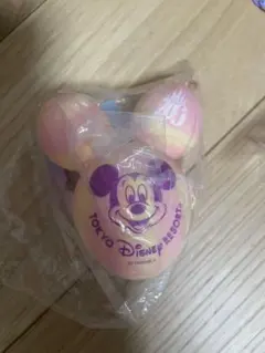 40周年 バッグチャーム 東京ディズニーリゾート