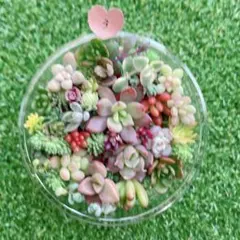 ちーちゃん様 リクエスト 3点 まとめ商品