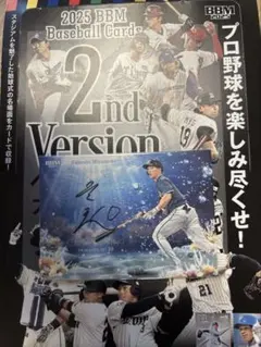 ヤクルト スポーツカード