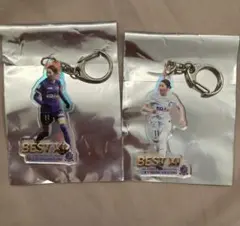 サンフレッチェ広島レジーナ 応援グッズ