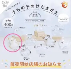 Item thumbnail for item ce942acc-f896-4b45-98cd-ba144d4edaa3