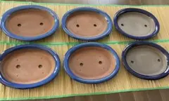 陶器製楕円形植木鉢6鉢セット