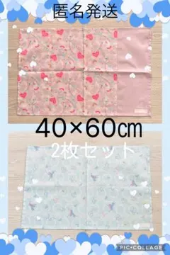 Item thumbnail for item 57651778-6ec1-45e8-91d2-f4bf3bb8684c