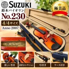 美品】HORA Reghin 4/4 2012 Ossi ハードケース付き - メルカリ