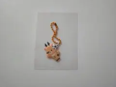RIIZE ソンチャン　キーリング　ウラッバム