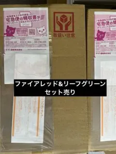 ポケットモンスター　ファイアレッド　リーフグリーン　特別版　特装版