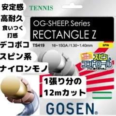 【3張×12m】レクタングルZゴーセンRectangleZGOSENガット