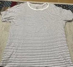 XL ストライプ柄 Tシャツ 100%コットン
