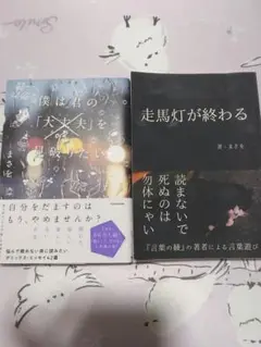 僕は君の「大丈夫」を見破りたい / 走馬灯が終わる 2冊セット
