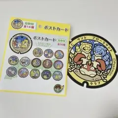 ポケモン ポケットモンスター ポケふた コイキング 新潟 ポストカード