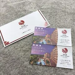PGMホテルリゾート沖縄 ご宿泊優待券 2枚セット