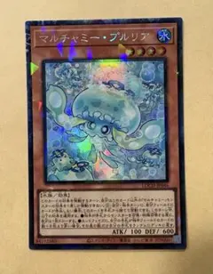 2026年最新】マルチャミー・プルリアの人気アイテム - メルカリ