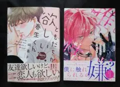 【未読品】BLコミックス2冊セット⑩