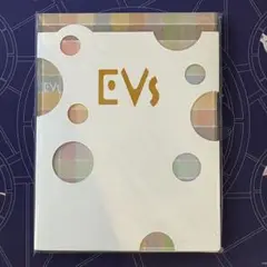 【新品未使用】ポケモン　EVs イーブイアートブック　ヒグチユウコ