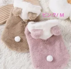 Item thumbnail for item 092c7890-f287-4472-abec-998fb9d21067