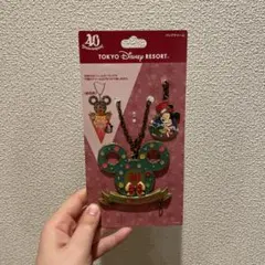 東京ディズニーリゾート 40周年記念 ガーランド　バッグチャーム