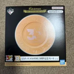 ポケモン30周年一番くじ B賞 お皿 ピカチュウメスの姿記念プレート