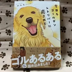 値下げ⭕️ 今日もゴールデンレトリバーに癒されて