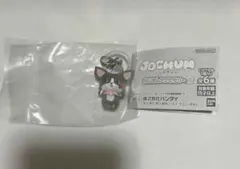チュララ　JOCHUMめじるしアクセサリー2