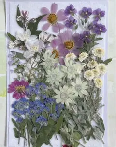 柚子と蜜柑様 リクエスト 2点 まとめ商品