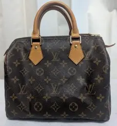 【美品 / 大人気モデル】ルイヴィトン スピーディー25 ハンドバッグ　ボストン
