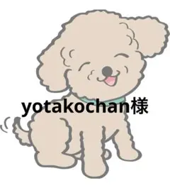 yotakochan様 リクエスト 2点 まとめ商品