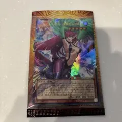 【美品】遊戯王「ハーピィ・レディ　華麗なる分身」オーバーフレーム