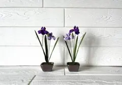 Item thumbnail for item f8f5b754-0d90-4a15-aee6-772bdc32bc07