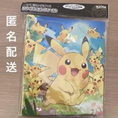 2026年最新】ポケモンカードゲーム コレクションファイル 古書風