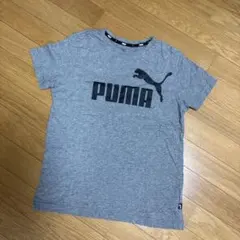 PUMA キッズTシャツ 160 シンプルプーマロゴ