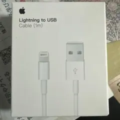 Apple Lightning to USB Cable 1m