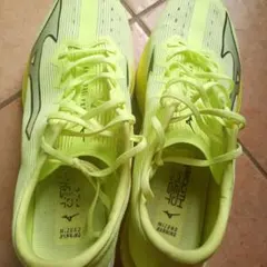 Item thumbnail for item c7716522-8cd2-4d1b-939e-3b331a07bae7