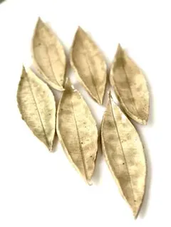 Item thumbnail for item 6fdd60fa-e29c-4e1f-a8a6-94dca859175e