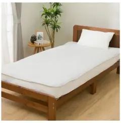 最終価格！！ 洗える防水・抗菌防臭マットレスプロテクター(M2405 SD)