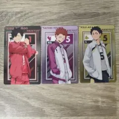 【おまけ付】ハイキュー メタリックカードコレクション セット