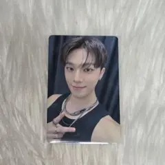 SEVENTEEN セブチ FC更新特典 トレカ ディノ