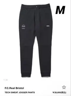 Item thumbnail for item 5140440b-e22f-42a8-985a-45d83408063d